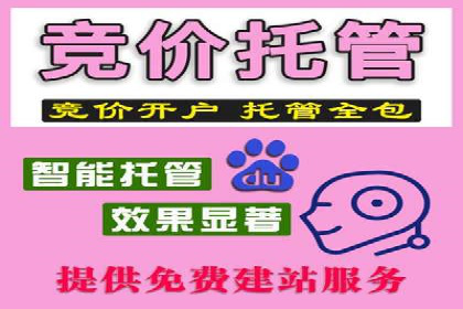 百度竞价推广托管：实战案例深度剖析